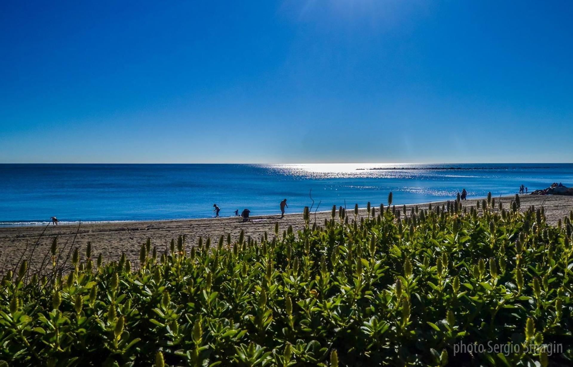 Apartamentos Los Cisnes - 2º Linea De Playa - Perfecta Ubicacion بينالماذينا المظهر الخارجي الصورة